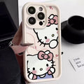 Cute HK phone case for iPhone